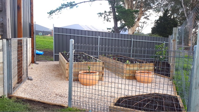 Installed backyard vegetable garden in Littlehampton Adelaide